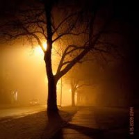 /album/slenderman/slenderman-sighting-5-slenderman8-jpg/
